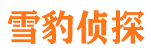 浦江寻人公司